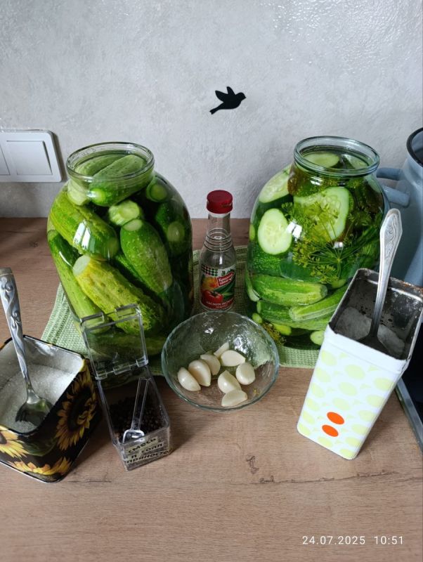 ���� ������: ��� ��������� ���������� ������ � ��������