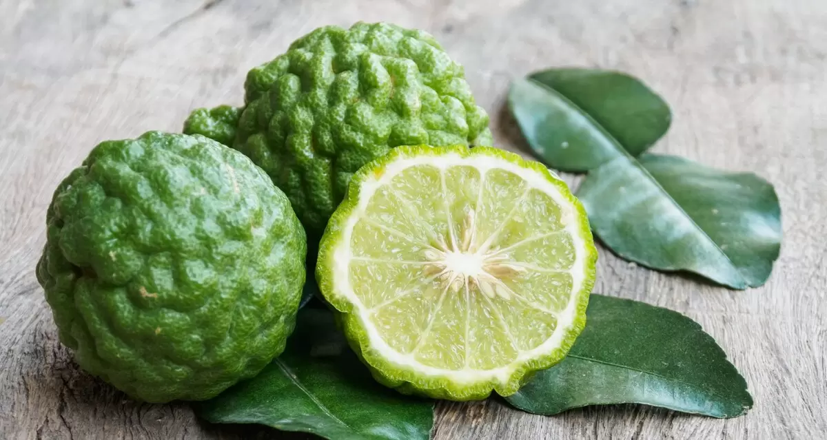 Погружение в загадочный мир бергамота