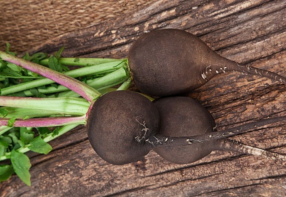 ���������� ������: ��� ����� ����� � � ������