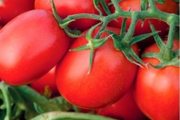 ����� ���� ��������� �������: ��������� ����� ��� ����������� �����������