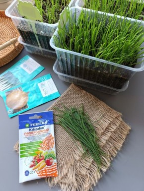 ��� ��������� ��������� ���: ������ �� ����� ���������