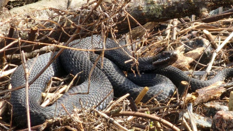 8 ������ � ������-��� � ������������ �/� ����� � ������ ����� ����� ������� ����� ����� ����� ����, ����� ������� ���� ��� ���, ��� � ������