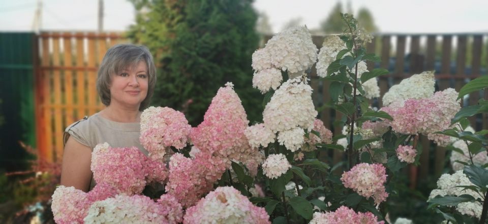 ��� ��������� ��������� �� ��������: ������� � ����������� ������