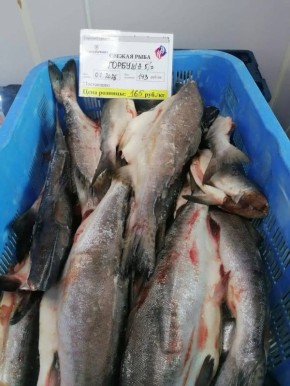 Специальное предложение на свежемороженую горбушу