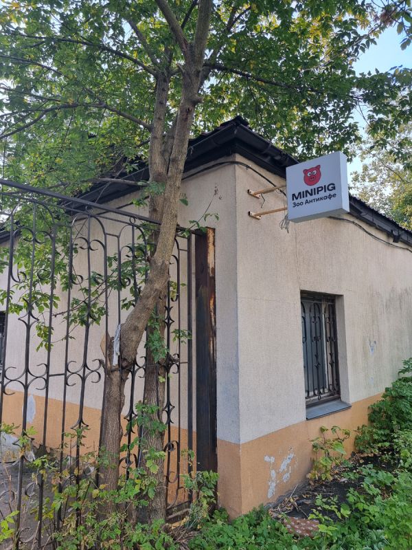 �������� � ������: �������, ��� ������ ������� ���� ������ �������