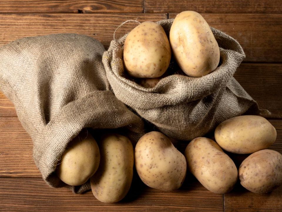 ������������ �������: �����, ������� ������� ���� � ����� �������