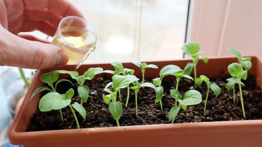 ��� �������� �������� ������� ����������: ������� �������� �������