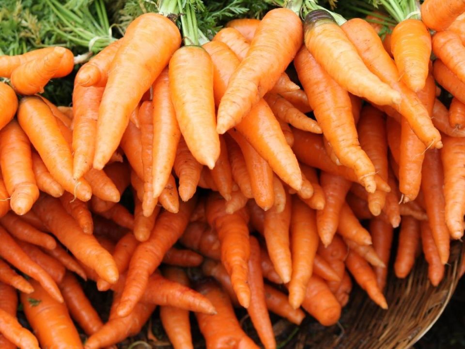 ��� �������� ���������� ����� �������: ������� ������ � ���������