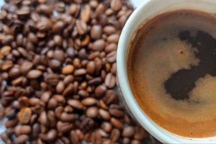 ���� � ���������: ������ ������������