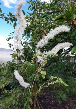 ��������: ������ ��� ������ �����? �������, ��� ���������� �� ���� ���������� ���������