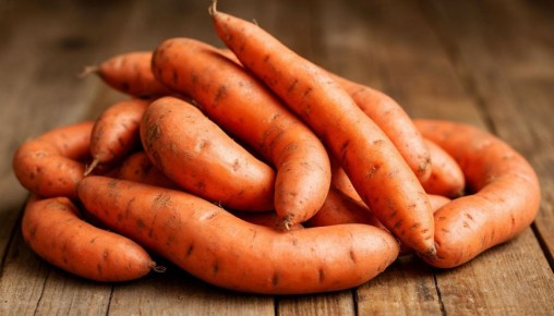 Тренды или разочарования: от каких современных растений стоит отказаться в 2026 году