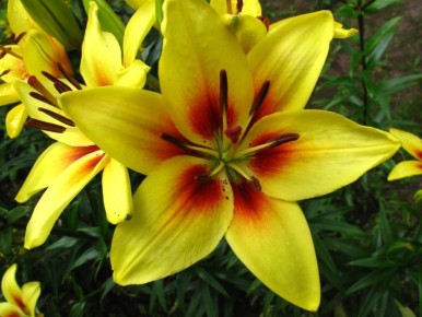 ��� ��������� ���������� � ��������� ����� �����