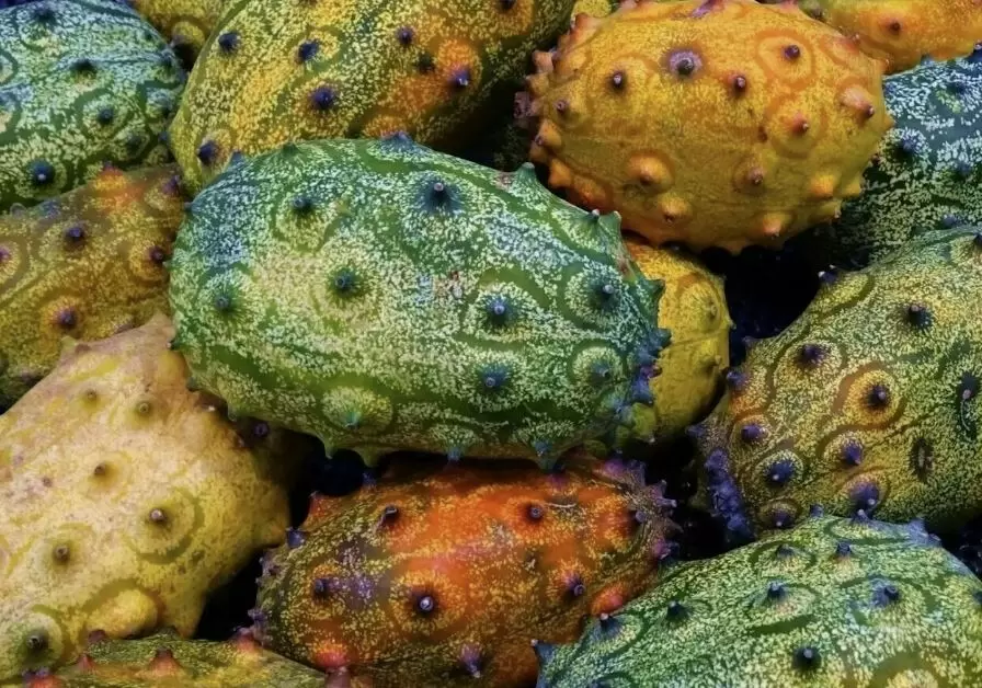 Экзотические овощи для средней полосы: удивите свой огород нетрадиционным урожаем