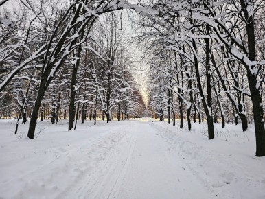 ������ �������� �� ����������� ����� � ���������� ������������ ����