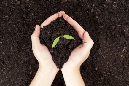 ��� ������� ���������� �����: ������������ ������, � ������� ����� �����