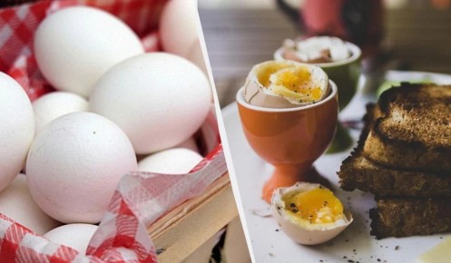 ��� ������� ��������� ���� � ������ �������: ������� �� ���-������