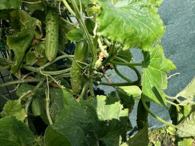 ��������� ����� ������: ����� ����� �������� �������, � ����� ������������