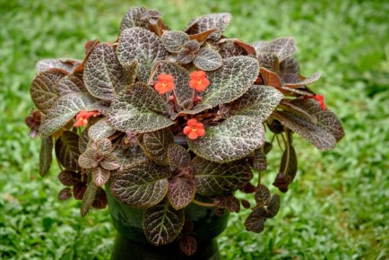 �������: ����� ����������� ��������� ��� ������ ����