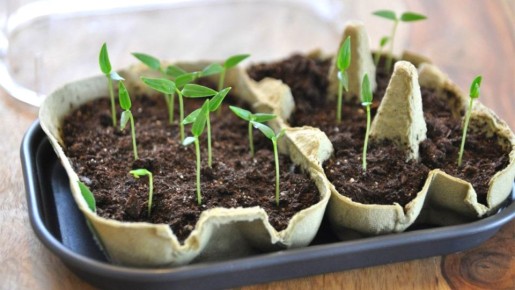 ������: ����� ��� ������ ������� ������ � ������ �� �����������