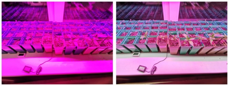 ��� �������� ���������� ��������� � ������ ������� �����