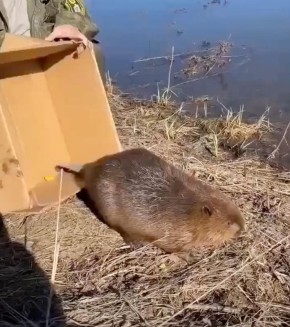 �� ���������� ��������� ������-��� ���������� �������� �����