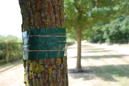 ��� ������ ����� ������� �������� ��� ��� �� ����������