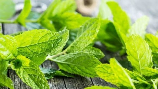 ������ ������������� ������ � ���������: �� ���� � ���������� � ��������