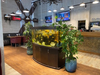 ���������� ��������: ������� ������� � ��������� ������ � ����������