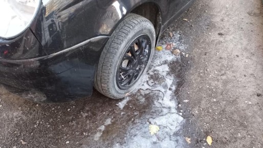 ��������� � ����� �� ����������� �� �������� �� ������ ������