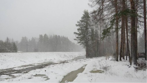 ����� �� ������� ������� ����� � �������