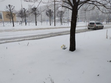 ����� ������ ������ � ����� �� ��������� ����������� � ����