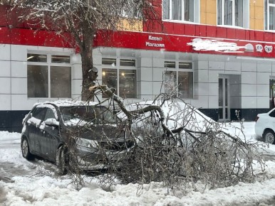 � ������-��� ������� �� ����������� ������� ����� � ����