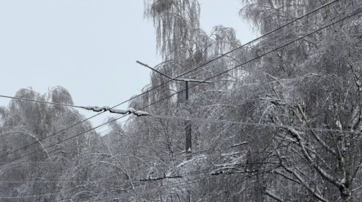 ������� � ������-��� ������������� �������� ������������