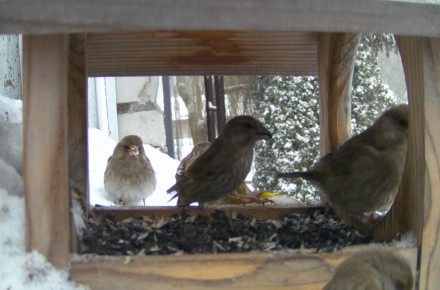 ������ ��������� ������ � ����� �� ��������� � ��������� ������� ������ ���������