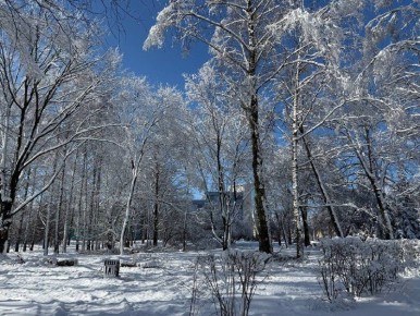 � ����������� ����� ������-��� ����������� ��������� ������� ��������