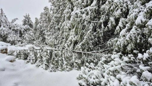 ��������� ��������� ���� ������� ������-��������� ������� ������������ ����