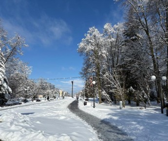 �������� �� ��������� ������ � ������-�������� ����������� ����� �������� � ������ ����������� ���������� ���� ������� ��������