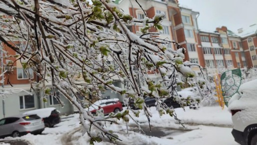 ����� ����������� ������� ����������� ������ � ����� ��