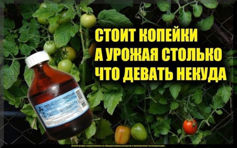 ��� �������� �������� ����� ������ ��� �������� ���������� �������