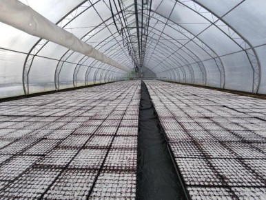 � ��������� ��������� ������������� ���� ������-��� ��������� ��������� ���� ����������� ����� ������������