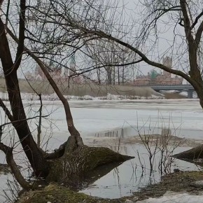 ������ ����. ���� �������� ��������