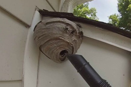 ���������� ������ ������ � �����: ����� ������ � ��������