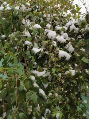 ��� �������� �������� ���������: ������ ��� ���������� � ����