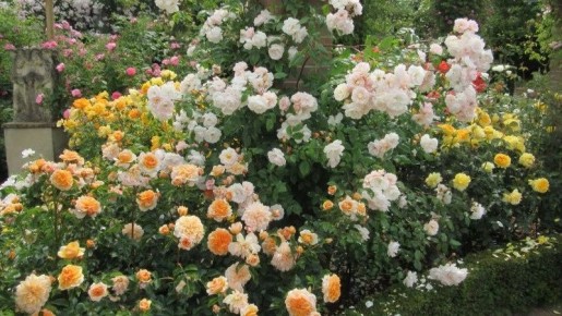 ��� �������� ���� �� ������� ������: ������� ��������� �������