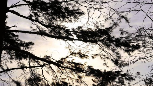 �� ���������� ����� �� �������� ������� �������