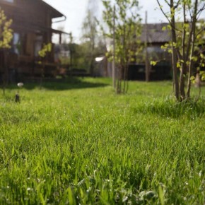 �������� � �������� �����: ��� ������� � ������� ��� ������� �����