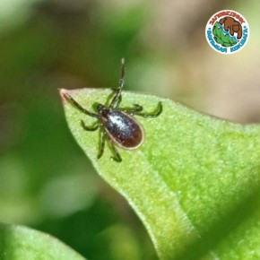 �� ������ �� 27 ������, � ����� �� �� ������ ������ ������ ���������� � �������� ��� 47 �������