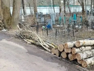 �� ������-�������� ��������� ������������ ������ ������� ��������