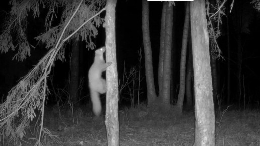 � ����������� �������� ������� � �������� ����������� ������� ���� �� ����� ������ � ������� �������� ������� ����� � ������