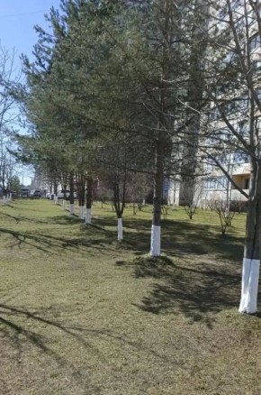 ����� �������� �� ��. ������, 15 � ������ ������ � ������!